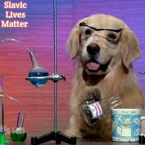 I Have No Idea What I Am Doing Dog | Slavic Lives Matter | image tagged in memes,i have no idea what i am doing dog,slavic | made w/ Imgflip meme maker