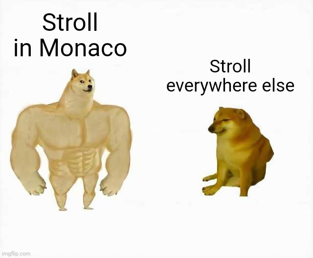 Strong dog vs weak dog | Stroll in Monaco; Stroll everywhere else | image tagged in strong dog vs weak dog,formula 1,racing,open-wheel racing | made w/ Imgflip meme maker