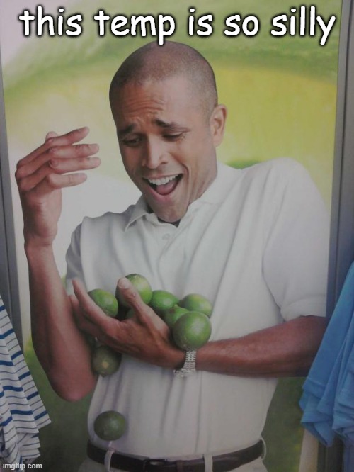 Why Can't I Hold All These Limes | this temp is so silly | image tagged in memes,why can't i hold all these limes | made w/ Imgflip meme maker