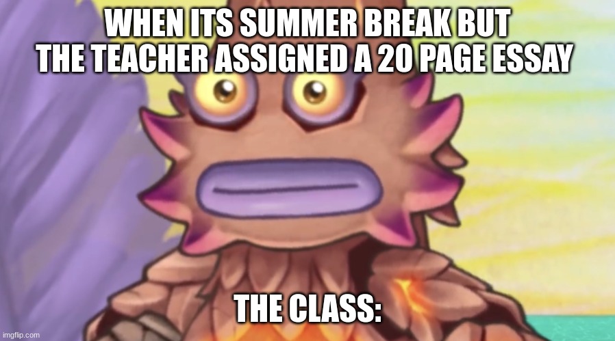 kayna stare meme | WHEN ITS SUMMER BREAK BUT THE TEACHER ASSIGNED A 20 PAGE ESSAY; THE CLASS: | image tagged in stare | made w/ Imgflip meme maker
