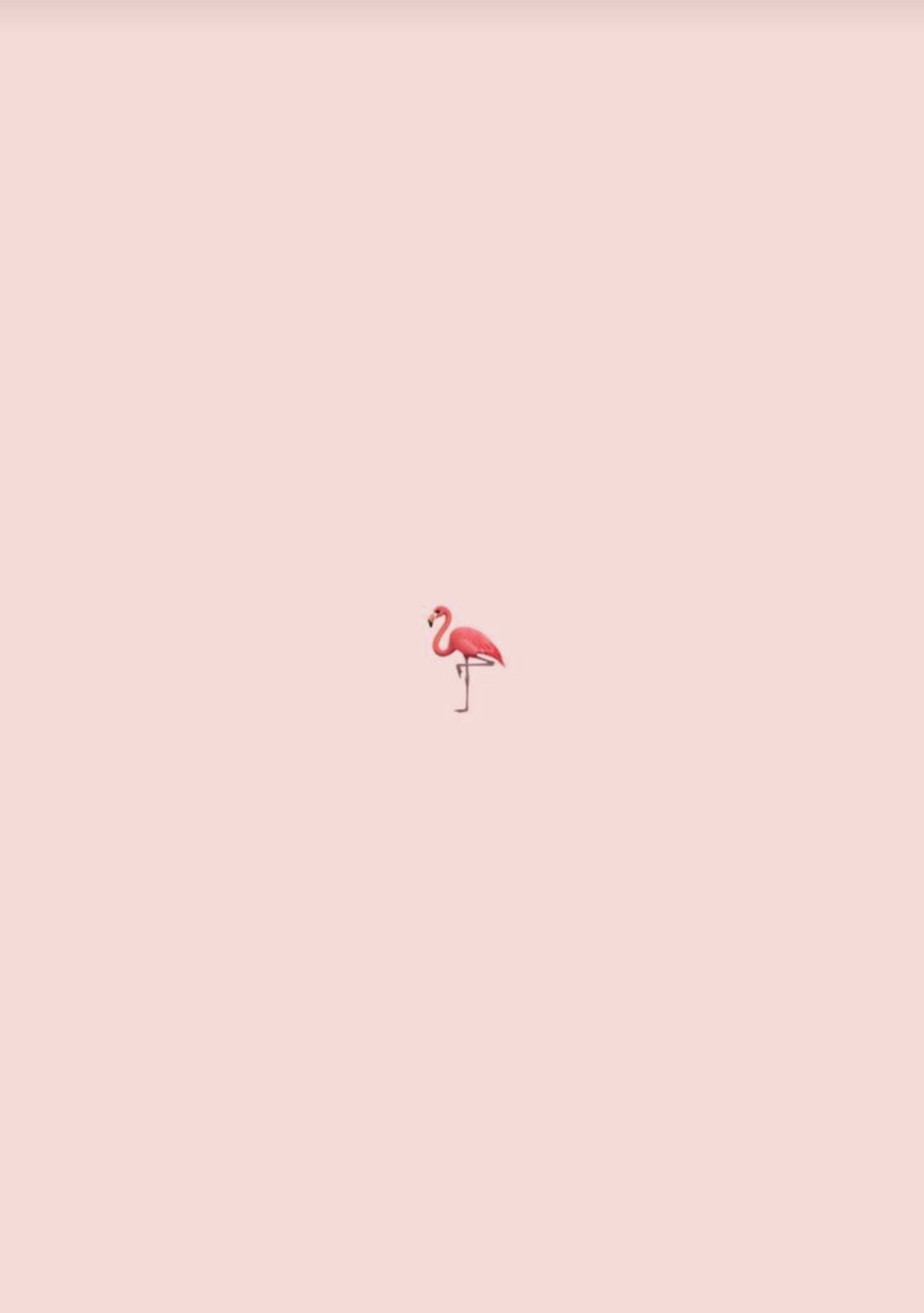 Flamingo Blank Meme Template