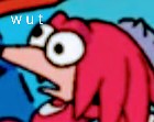 Knuckles wut Blank Meme Template