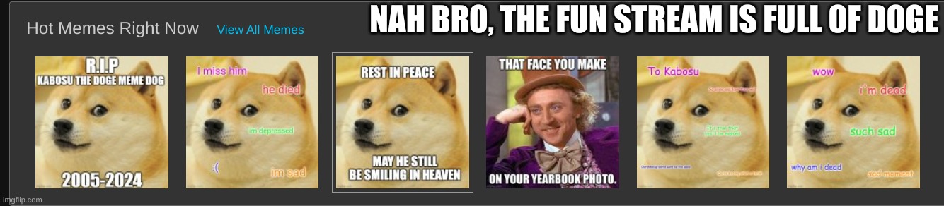 Well that's good cuz we should honor him | NAH BRO, THE FUN STREAM IS FULL OF DOGE | image tagged in doge | made w/ Imgflip meme maker