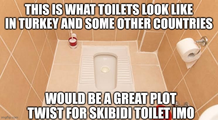 THIS IS WHAT TOILETS LOOK LIKE IN TURKEY AND SOME OTHER COUNTRIES; WOULD BE A GREAT PLOT TWIST FOR SKIBIDI TOILET IMO | made w/ Imgflip meme maker