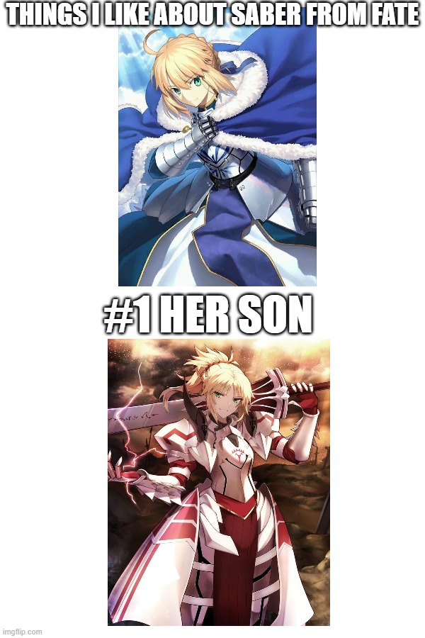 things i like about saber from fate | THINGS I LIKE ABOUT SABER FROM FATE; #1 HER SON | image tagged in anime,fate/grand order,saber,mordred | made w/ Imgflip meme maker