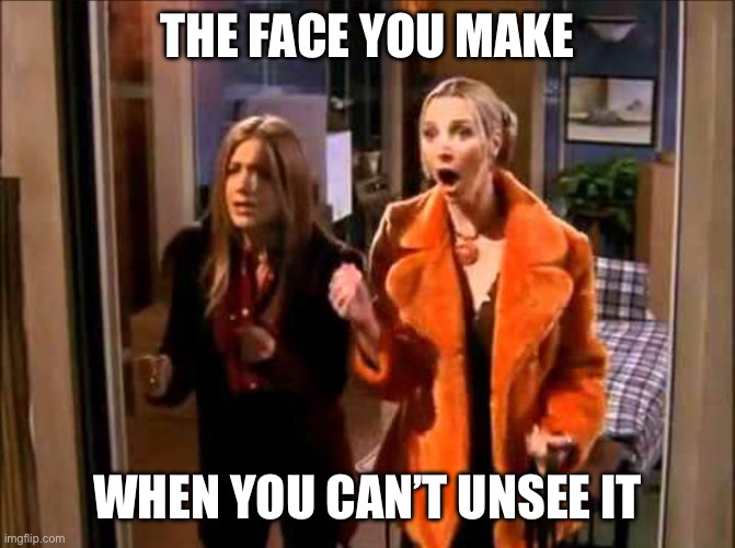 phoebe my eyes | THE FACE YOU MAKE; WHEN YOU CAN’T UNSEE IT | image tagged in phoebe my eyes | made w/ Imgflip meme maker