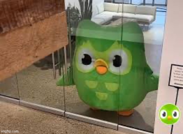 When you forgot your Spanish lessons | image tagged in when you forgot your spanish lessons | made w/ Imgflip meme maker