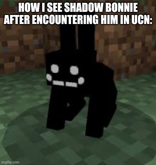 Black rabbit | HOW I SEE SHADOW BONNIE AFTER ENCOUNTERING HIM IN UCN: | image tagged in black rabbit | made w/ Imgflip meme maker