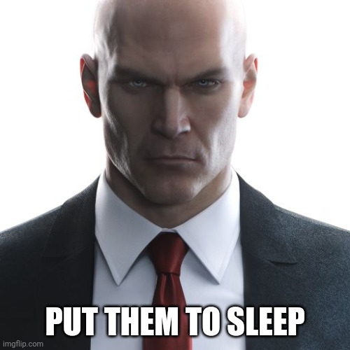 Hitman | PUT THEM TO SLEEP | image tagged in hitman | made w/ Imgflip meme maker