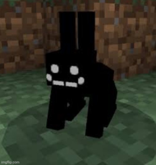 Black rabbit | image tagged in black rabbit | made w/ Imgflip meme maker