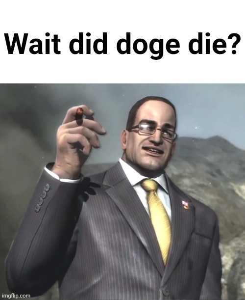 (meme dog not the meme) | Wait did doge die? | image tagged in dwvjzbwlxbwixboqnxoqbxiqbz | made w/ Imgflip meme maker