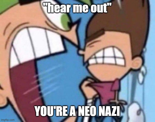 Cosmo yelling at timmy | "hear me out"; YOU'RE A NEO NAZI | image tagged in cosmo yelling at timmy | made w/ Imgflip meme maker