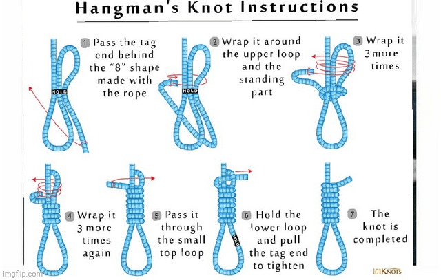 How to tie a noose | image tagged in how to tie a noose | made w/ Imgflip meme maker