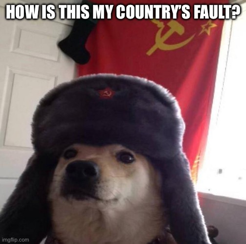 Russian Doge | HOW IS THIS MY COUNTRY’S FAULT? | image tagged in russian doge | made w/ Imgflip meme maker