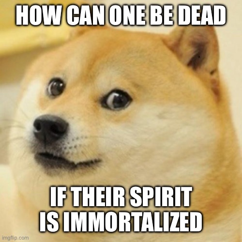 Rip | HOW CAN ONE BE DEAD; IF THEIR SPIRIT IS IMMORTALIZED | image tagged in wow doge | made w/ Imgflip meme maker