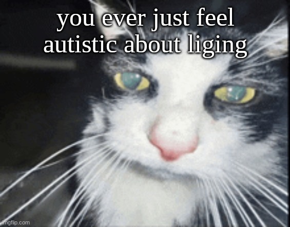 I want to obsess over sonic and vocaloid and metal and cats and DW and MLA and literally everything | you ever just feel autistic about liging | image tagged in high cat | made w/ Imgflip meme maker