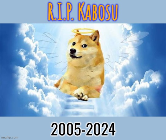 Goodbye, old friend :'( | R.I.P. Kabosu; 2005-2024 | made w/ Imgflip meme maker