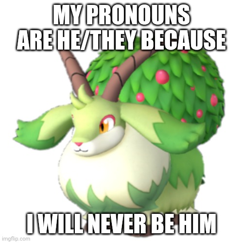 Caprity | MY PRONOUNS ARE HE/THEY BECAUSE; I WILL NEVER BE HIM | image tagged in caprity | made w/ Imgflip meme maker