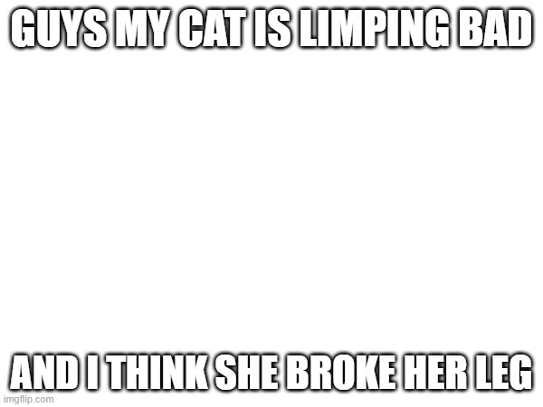 Sad | GUYS MY CAT IS LIMPING BAD; AND I THINK SHE BROKE HER LEG | image tagged in cats,sad | made w/ Imgflip meme maker