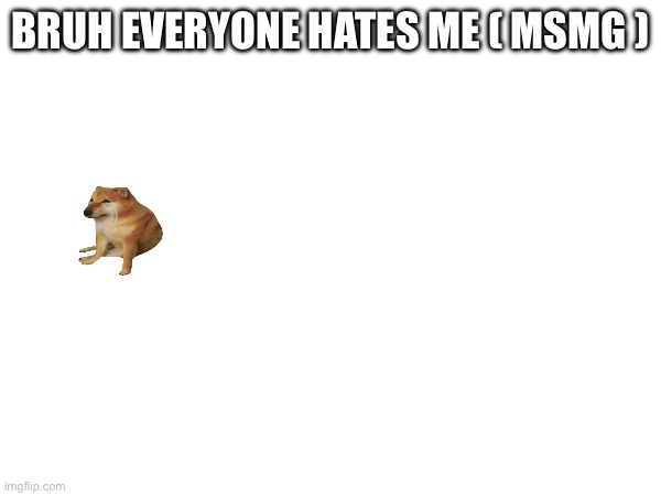 BRUH EVERYONE HATES ME ( MSMG ) | made w/ Imgflip meme maker