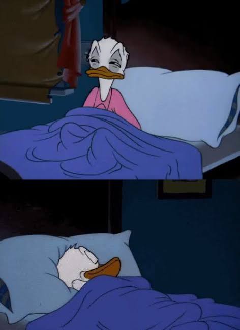 High Quality Donald Duck sleeping Blank Meme Template