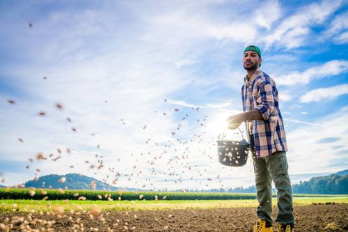 High Quality Farmer throwing seeds Blank Meme Template