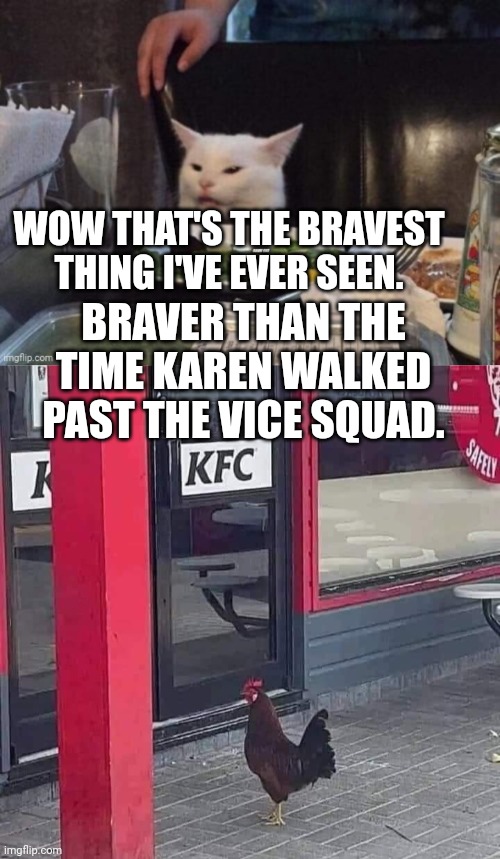 WOW THAT'S THE BRAVEST THING I'VE EVER SEEN. BRAVER THAN THE TIME KAREN WALKED PAST THE VICE SQUAD. | image tagged in smudge that darn cat | made w/ Imgflip meme maker