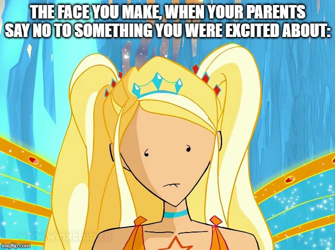 "Oh..." | THE FACE YOU MAKE, WHEN YOUR PARENTS SAY NO TO SOMETHING YOU WERE EXCITED ABOUT: | image tagged in winx club stella blank expression | made w/ Imgflip meme maker