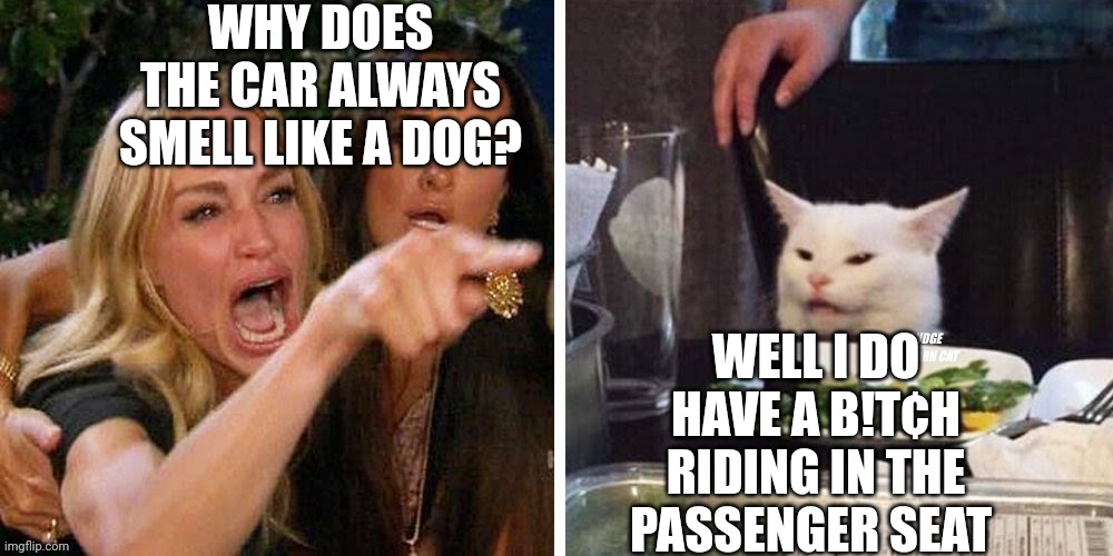 Smudge that darn cat with Karen | WHY DOES THE CAR ALWAYS SMELL LIKE A DOG? WELL I DO HAVE A B!T¢H RIDING IN THE PASSENGER SEAT | image tagged in smudge that darn cat with karen | made w/ Imgflip meme maker