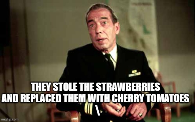 Caine Mutiny | THEY STOLE THE STRAWBERRIES AND REPLACED THEM WITH CHERRY TOMATOES \ | image tagged in caine mutiny | made w/ Imgflip meme maker