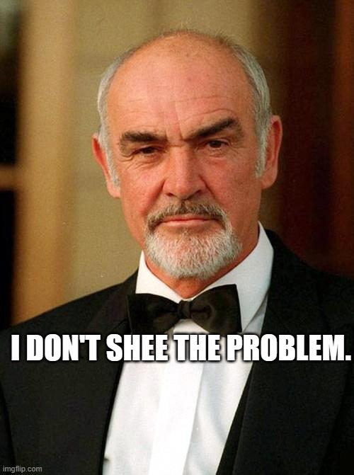 sean connery | I DON'T SHEE THE PROBLEM. | image tagged in sean connery | made w/ Imgflip meme maker