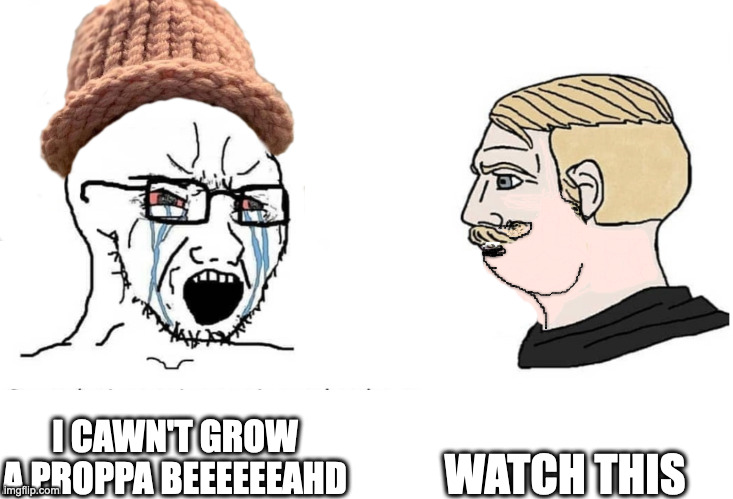 Soyboy Vs Yes Chad | WATCH THIS; I CAWN'T GROW A PROPPA BEEEEEEAHD | image tagged in soyboy vs yes chad | made w/ Imgflip meme maker