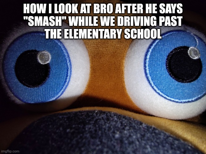 feddy what | HOW I LOOK AT BRO AFTER HE SAYS
"SMASH" WHILE WE DRIVING PAST
THE ELEMENTARY SCHOOL | image tagged in feddy what | made w/ Imgflip meme maker