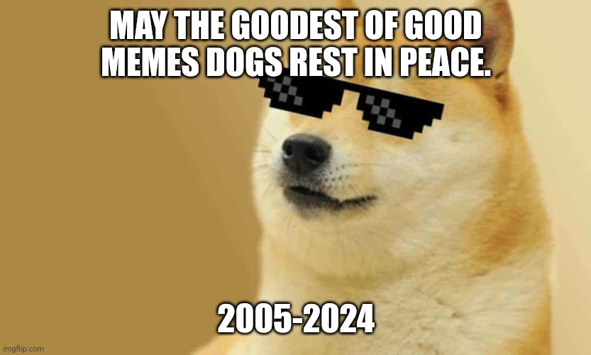 Doge died. :'( | MAY THE GOODEST OF GOOD MEMES DOGS REST IN PEACE. 2005-2024 | image tagged in sunglasses doge | made w/ Imgflip meme maker