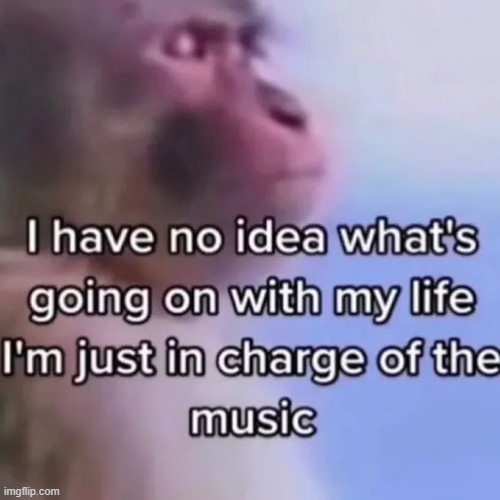 just in charge of the music | image tagged in meme,repost | made w/ Imgflip meme maker