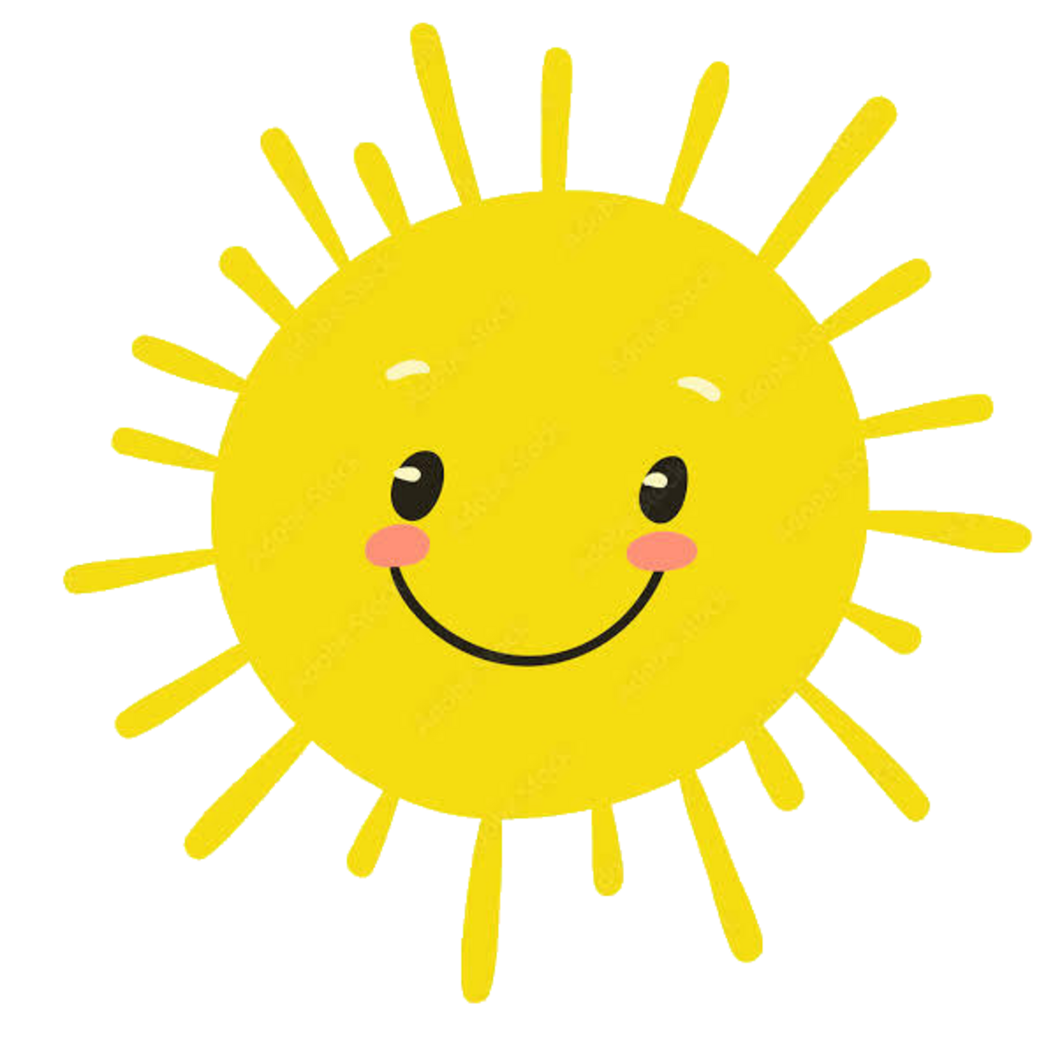 Sol plasta Blank Meme Template