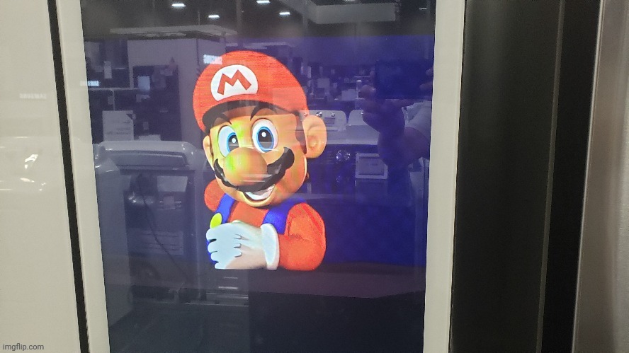 F*cking around at Best Buy | image tagged in super mario 64,fridge | made w/ Imgflip meme maker