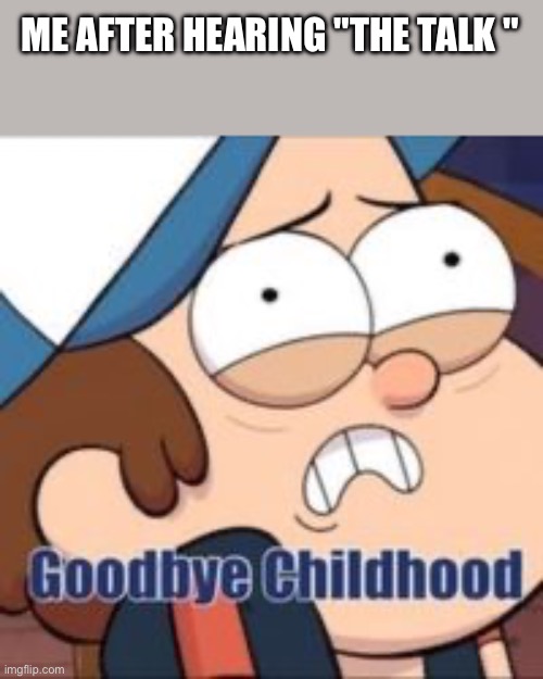 is it true or true | ME AFTER HEARING "THE TALK " | image tagged in goodbye childhood | made w/ Imgflip meme maker