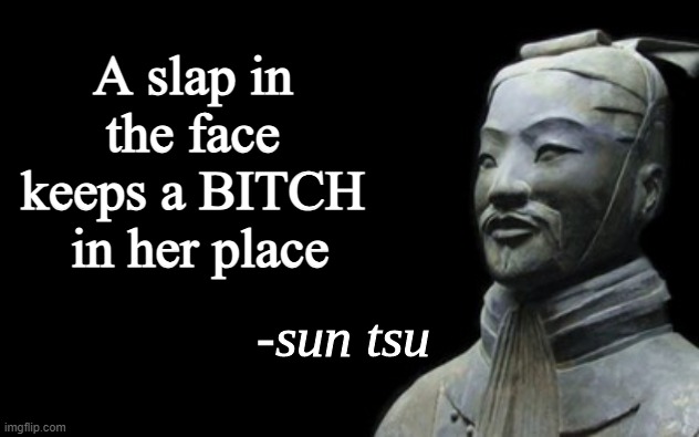 sun tsu fake quote | A slap in the face keeps a BITCH  in her place | image tagged in sun tsu fake quote | made w/ Imgflip meme maker