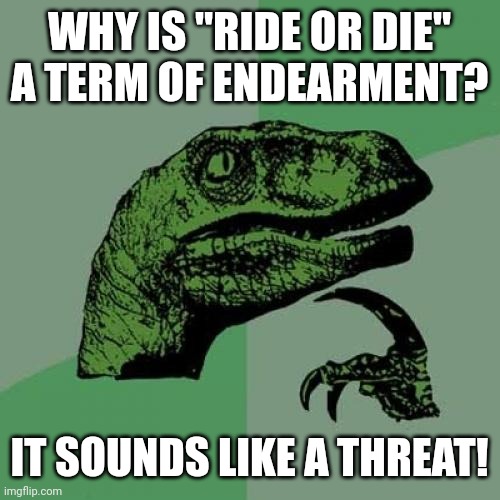 Philosoraptor on "ride or die" | WHY IS "RIDE OR DIE" A TERM OF ENDEARMENT? IT SOUNDS LIKE A THREAT! | image tagged in memes,philosoraptor,ride or die,slang phrase,threat | made w/ Imgflip meme maker
