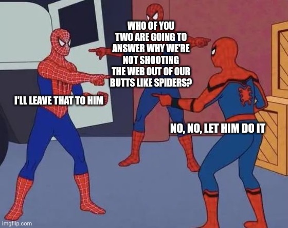 3 Spiderman Pointing | WHO OF YOU TWO ARE GOING TO ANSWER WHY WE'RE NOT SHOOTING THE WEB OUT OF OUR BUTTS LIKE SPIDERS? I'LL LEAVE THAT TO HIM; NO, NO, LET HIM DO IT | image tagged in 3 spiderman pointing | made w/ Imgflip meme maker