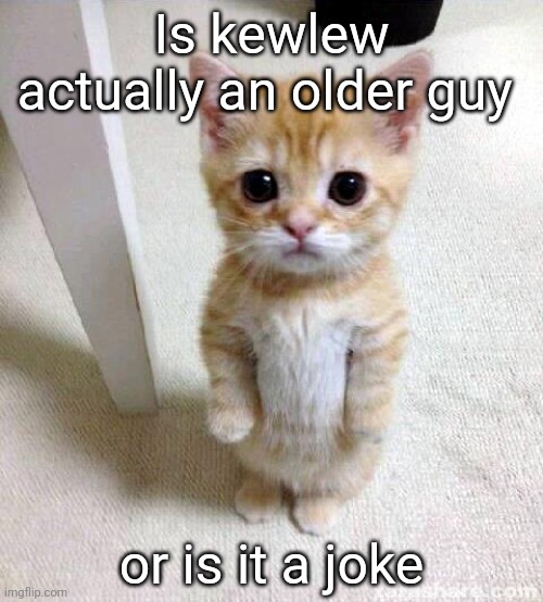 Cute Cat | Is kewlew actually an older guy; or is it a joke | image tagged in memes,cute cat | made w/ Imgflip meme maker