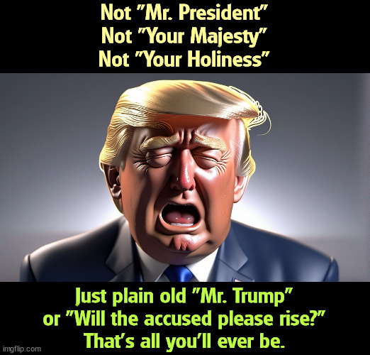 Not "Mr. President"
Not "Your Majesty"
Not "Your Holiness"; Just plain old "Mr. Trump"
or "Will the accused please rise?"
That's all you'll ever be. | image tagged in trump,loser,defendant,accused,unemployed | made w/ Imgflip meme maker
