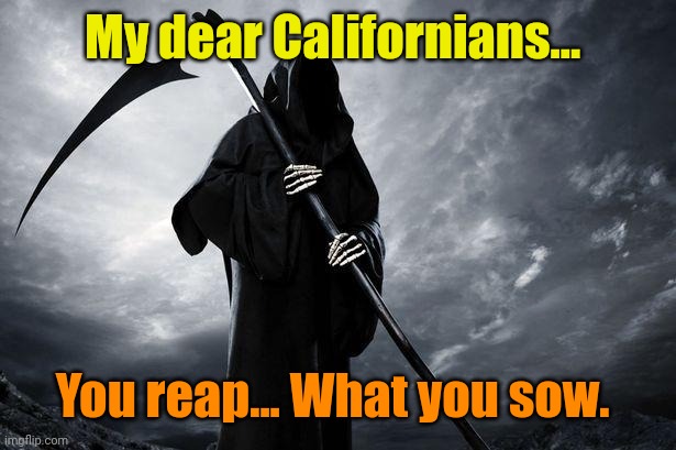 Grim Reaper , Memes, funny | My dear Californians... You reap... What you sow. | image tagged in grim reaper memes funny | made w/ Imgflip meme maker