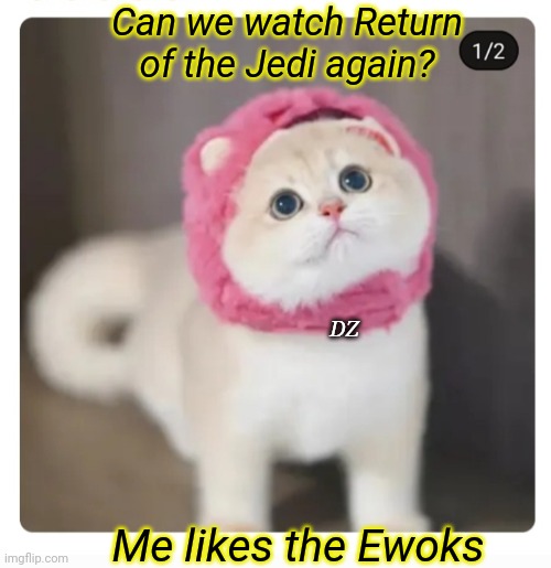 Kitty Jedi | Can we watch Return of the Jedi again? DZ; Me likes the Ewoks | image tagged in cute cat,star wars,kitten | made w/ Imgflip meme maker