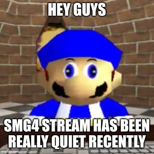 Smg4 derp | HEY GUYS; SMG4 STREAM HAS BEEN REALLY QUIET RECENTLY | image tagged in smg4 derp | made w/ Imgflip meme maker