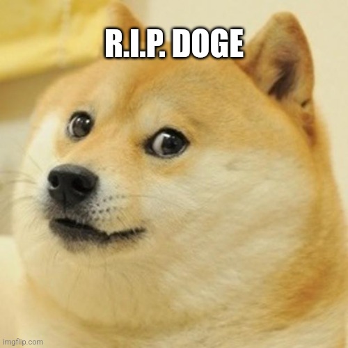 Doge Meme | R.I.P. DOGE | image tagged in memes,doge | made w/ Imgflip meme maker