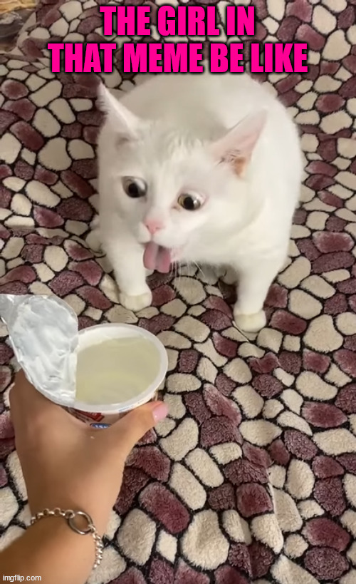 i think pet are like sons, they imitate you | THE GIRL IN THAT MEME BE LIKE | image tagged in white cat sour cream throw up / vomit | made w/ Imgflip meme maker
