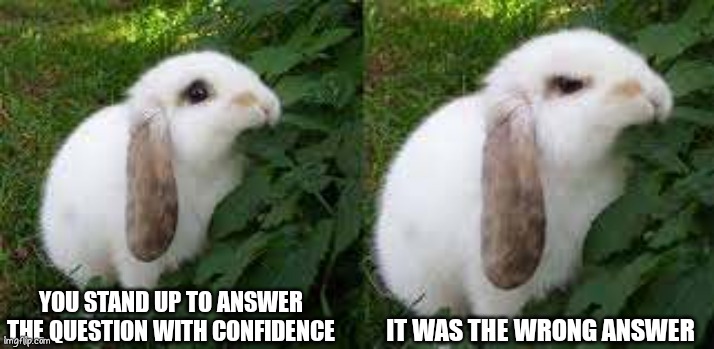 First meme ツ | IT WAS THE WRONG ANSWER; YOU STAND UP TO ANSWER THE QUESTION WITH CONFIDENCE | image tagged in cute angry rabbit | made w/ Imgflip meme maker