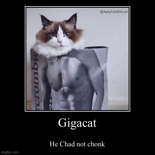 Gigacat | He Chad not chonk | image tagged in funny,demotivationals | made w/ Imgflip demotivational maker